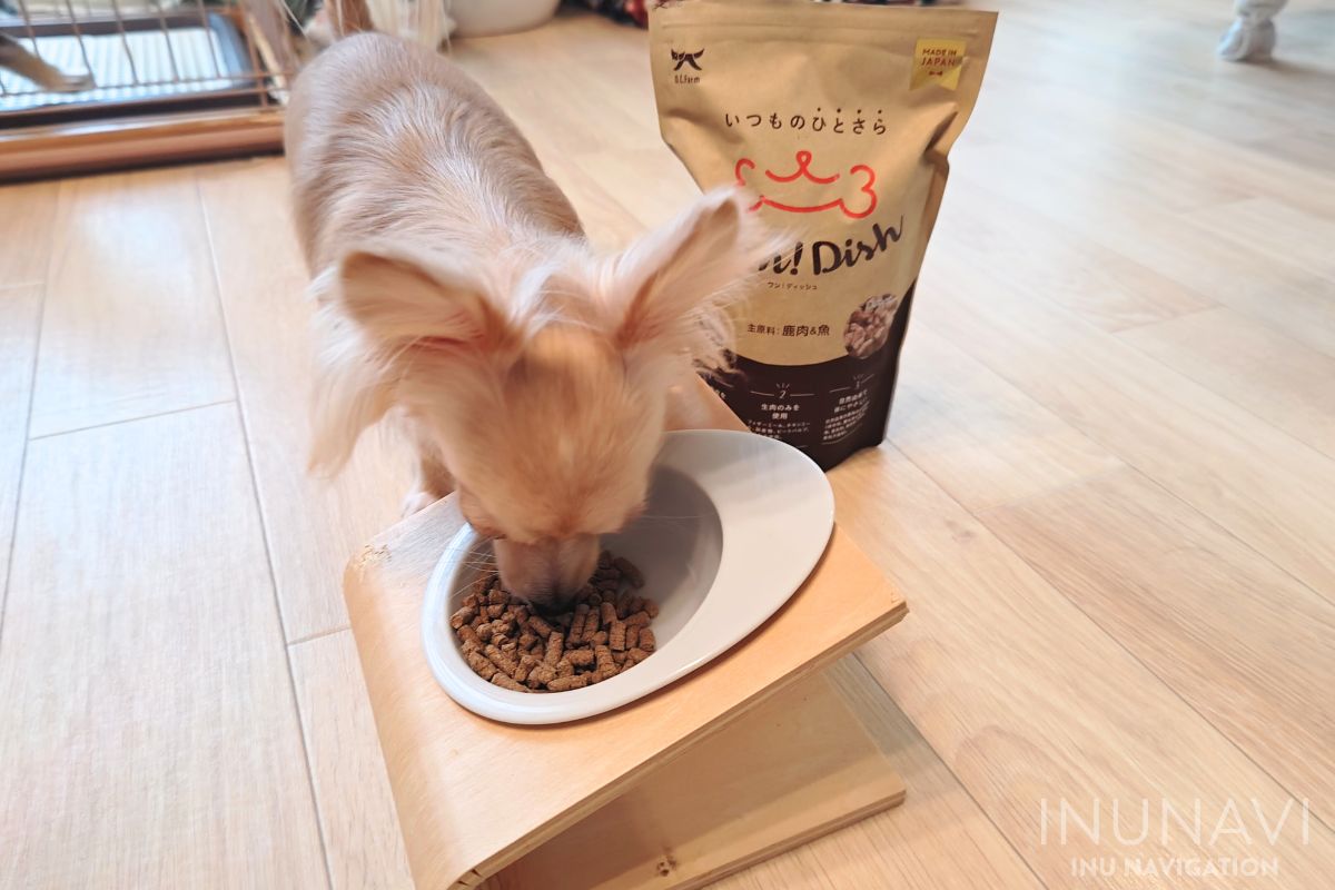 ワンディッシュ(Wan!Dish)　を食べる愛犬